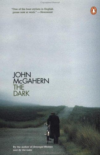 Cover of The Dark