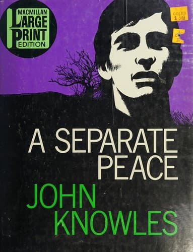 Cover of A Separate Peace